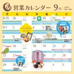 snsカレンダー